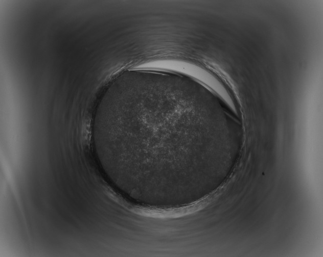 X0000085770017200703231233