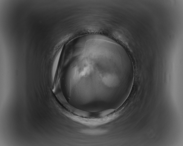 X0000085770019200703231233