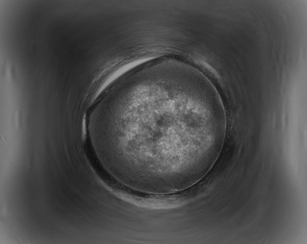 X0000085770020200703231233