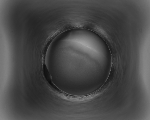 X0000085770023200703231233