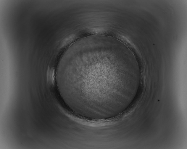 X0000085770024200703231233