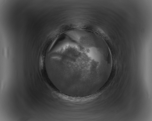 X0000085770026200703231233