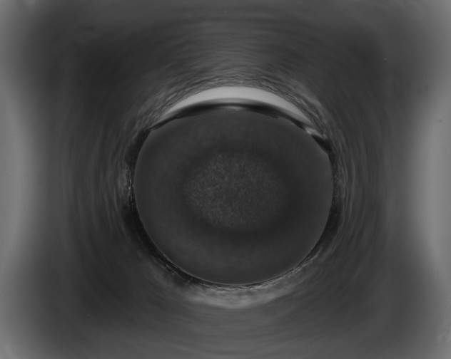 X0000085770029200703231233