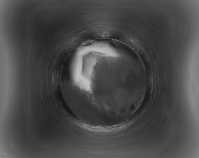 X0000085770030200703231233