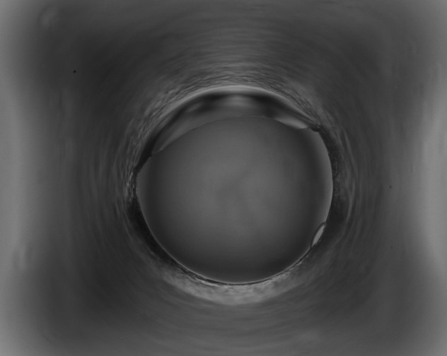 X0000085770031200703231233