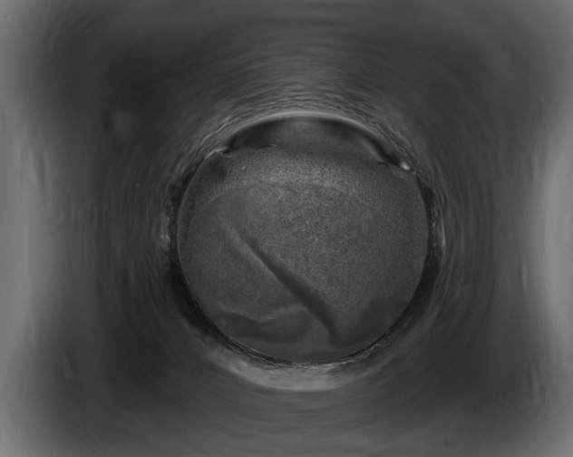 X0000085770032200703231233