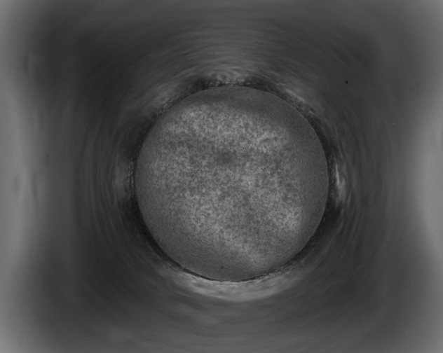 X0000085770034200703231233