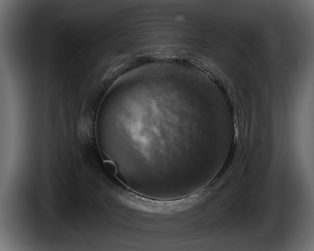 X0000085770035200703231233