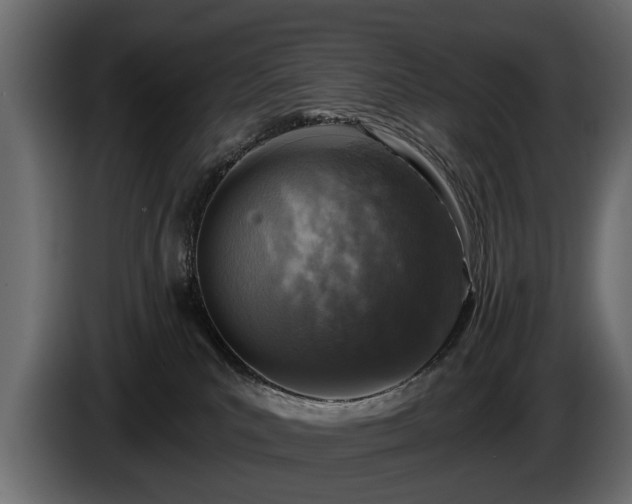 X0000085770039200703231233