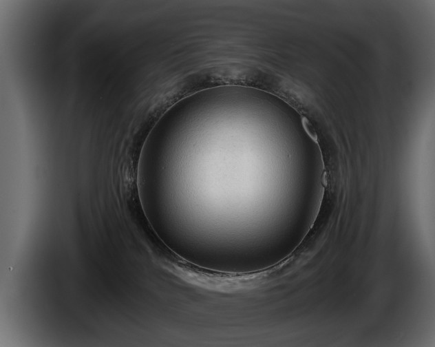 X0000085770040200703231233