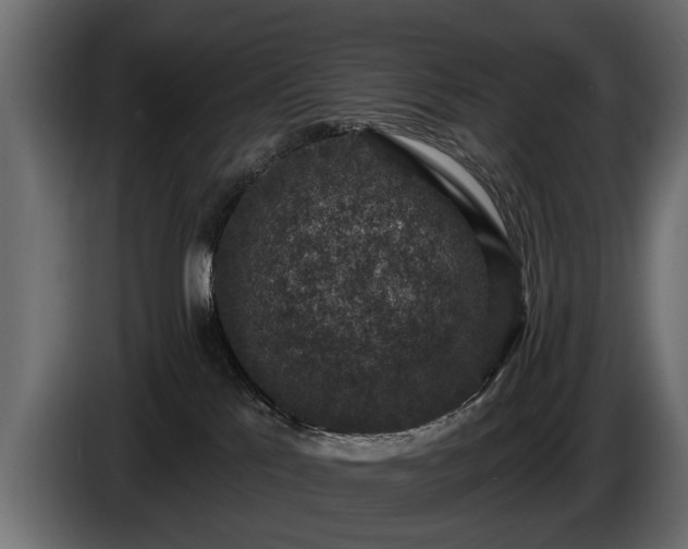 X0000085770041200703231233