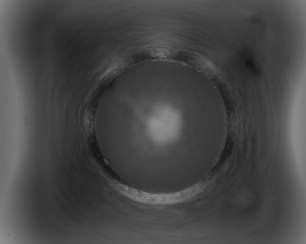 X0000085770043200703231233