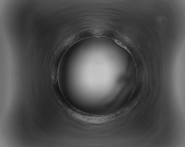 X0000085770044200703231233