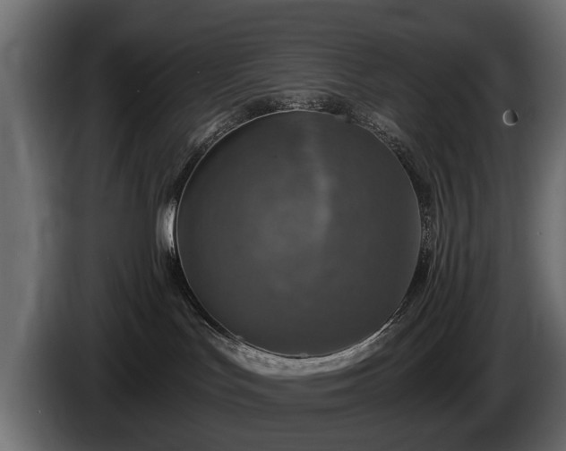 X0000085770047200703231233