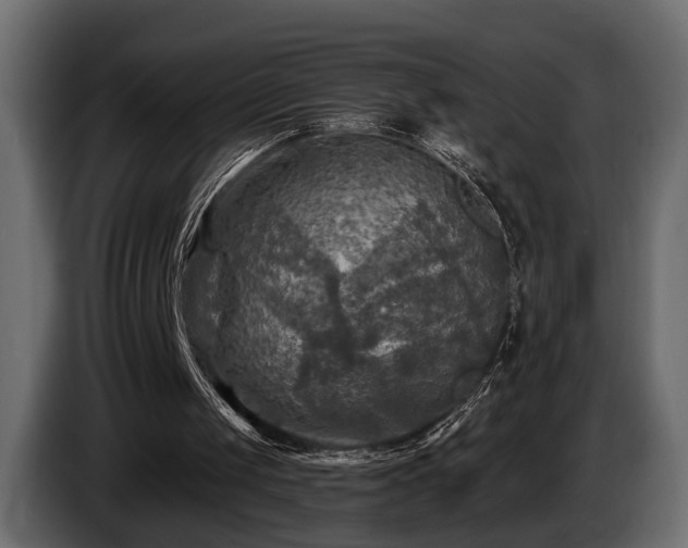 X0000085770049200703231232