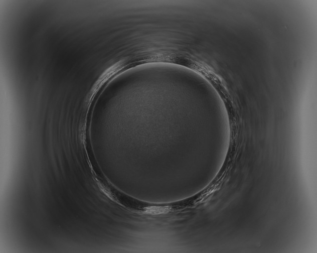 X0000085770051200703231232