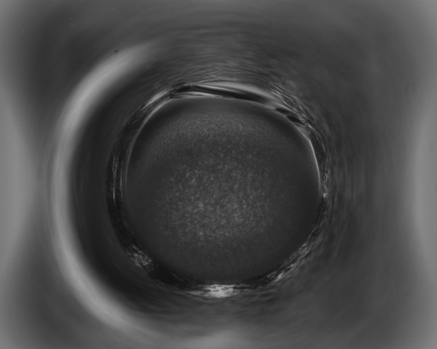 X0000085770052200703231232