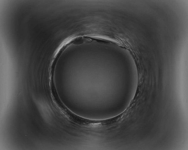 X0000085770054200703231232