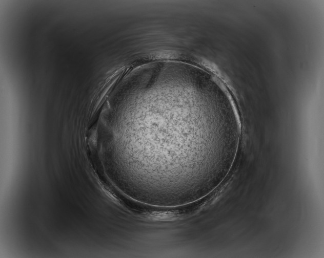 X0000085770057200703231232