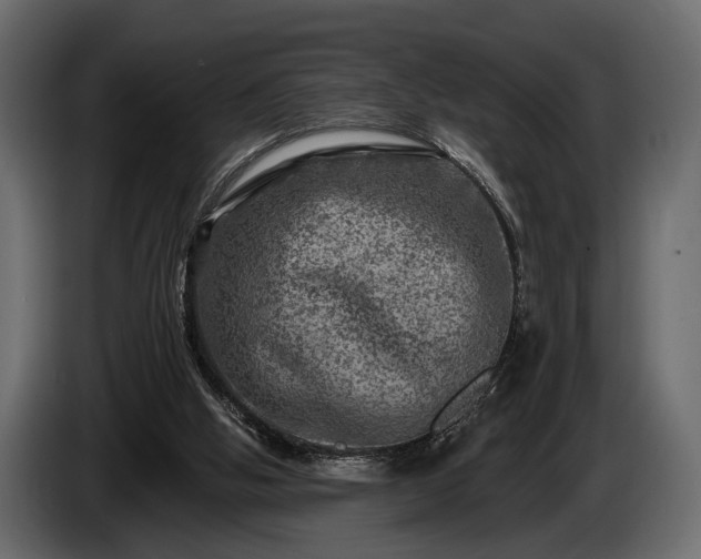 X0000085770058200703231232