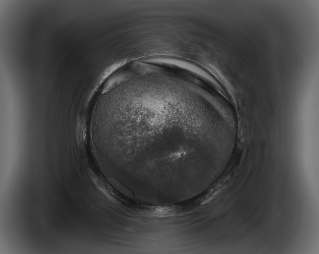 X0000085770060200703231232