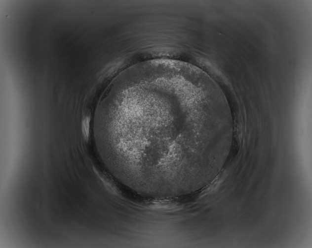 X0000085770070200703231232