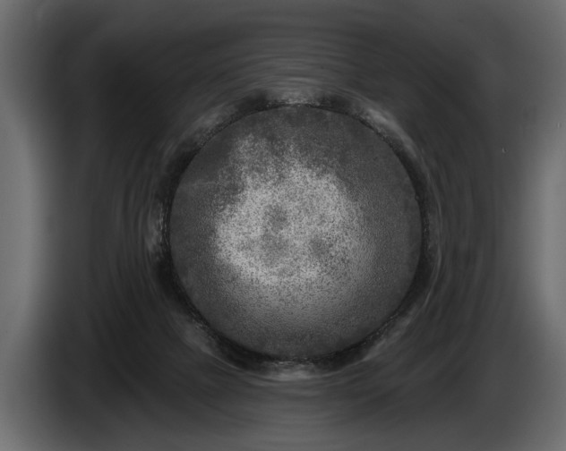 X0000085770073200703231233