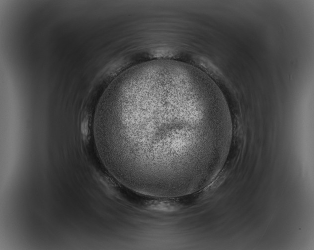 X0000085770074200703231233