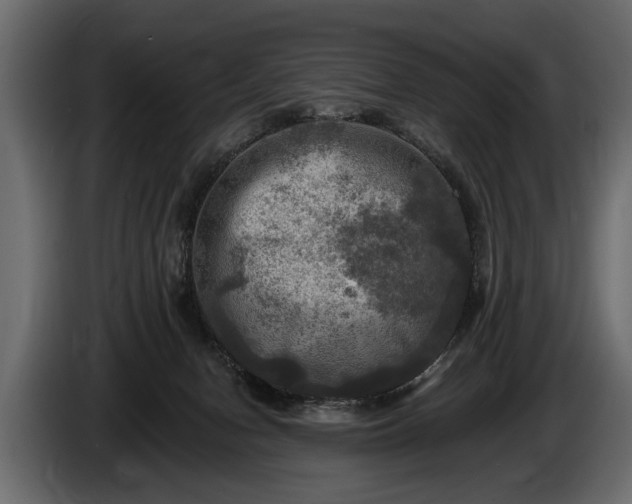 X0000085770078200703231233