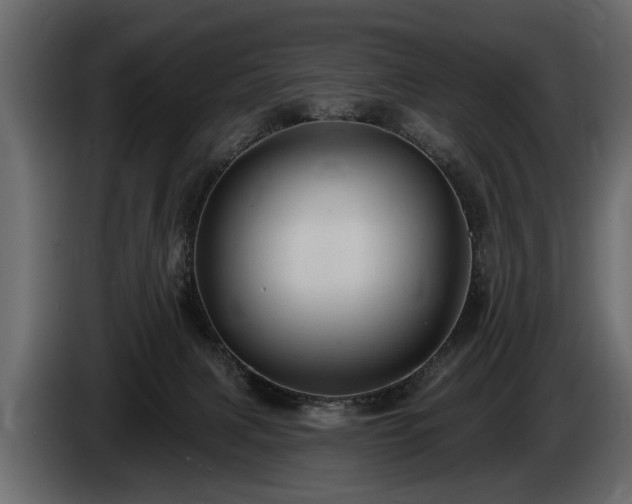 X0000085770079200703231233