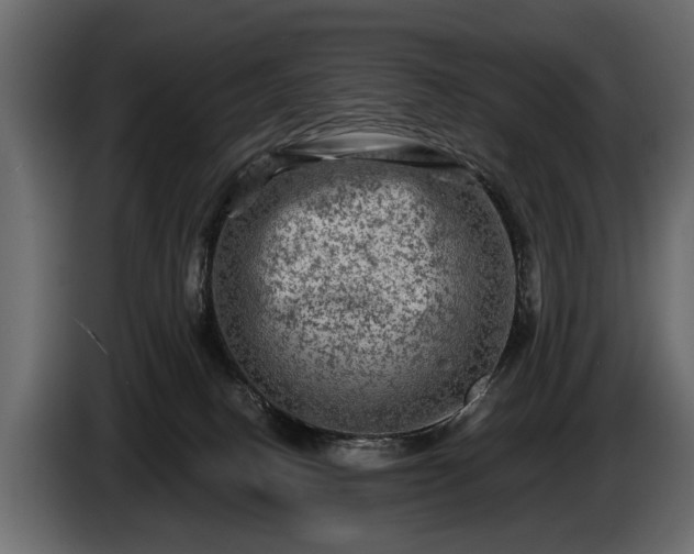 X0000085770082200703231233