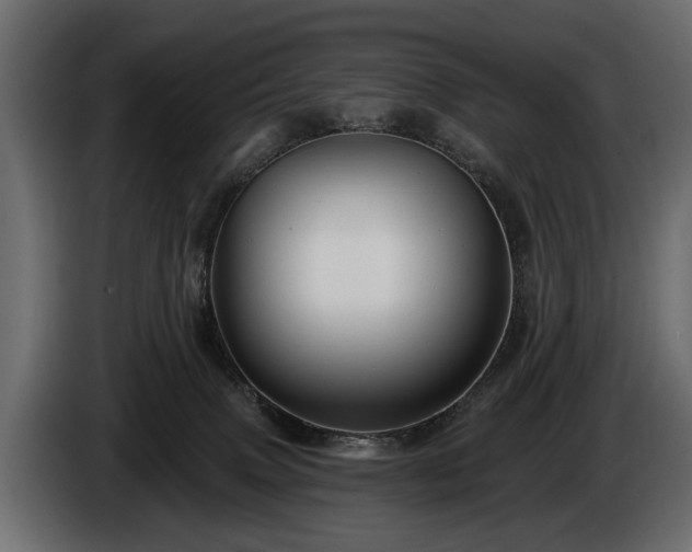 X0000085770083200703231233