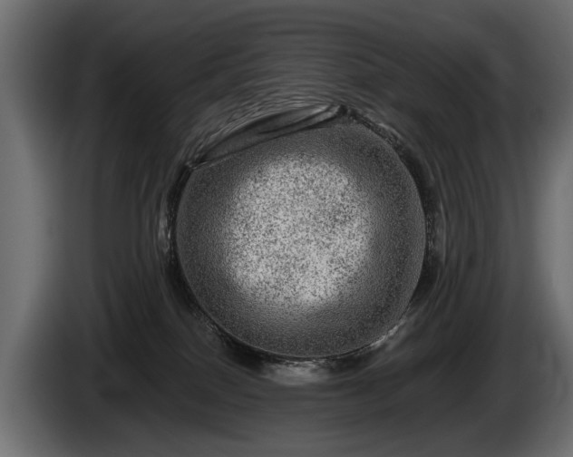 X0000085770086200703231233