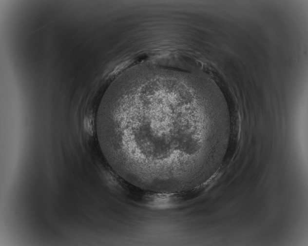 X0000085770090200703231233