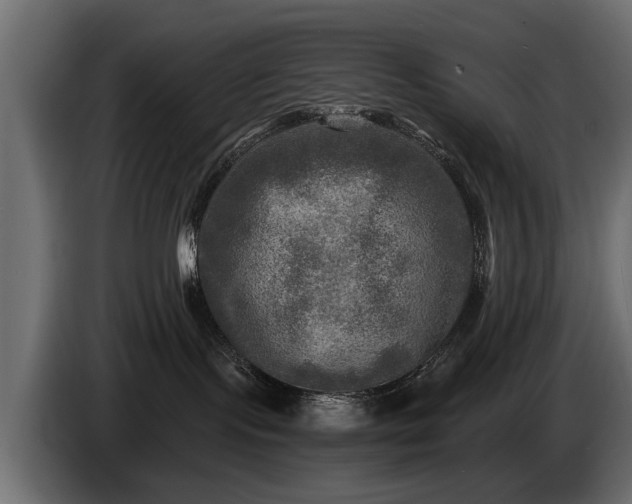 X0000085770095200703231233