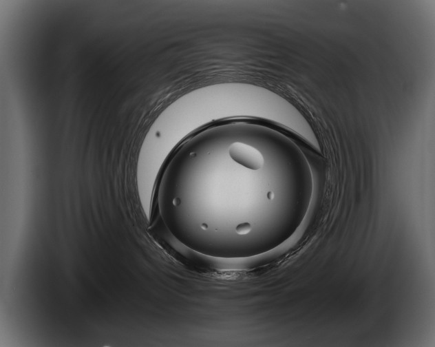 X0000085770096200703231233