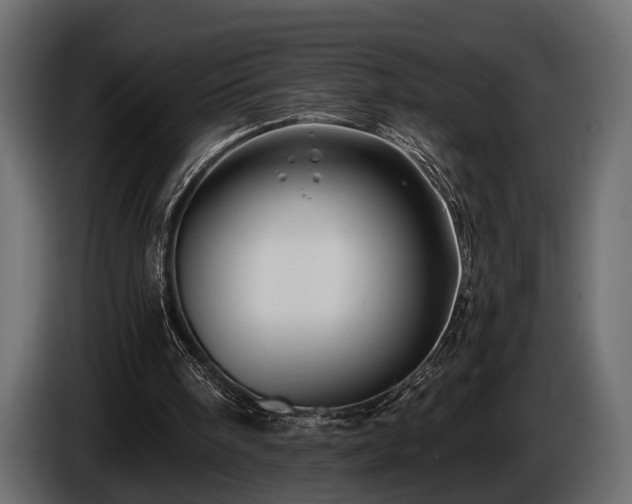 X0000085770098200703231232