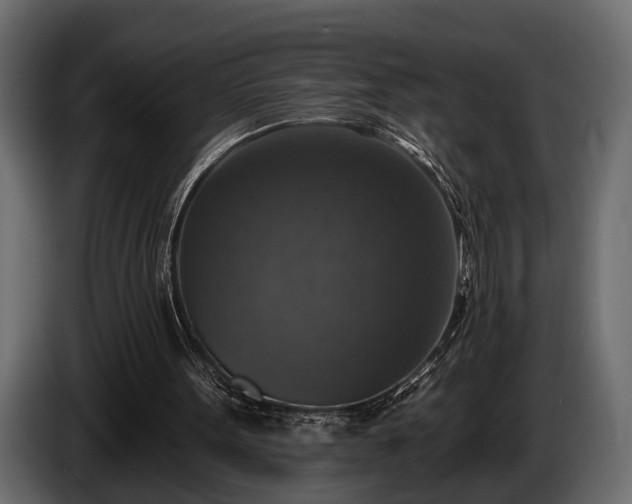 X0000085770099200703231232