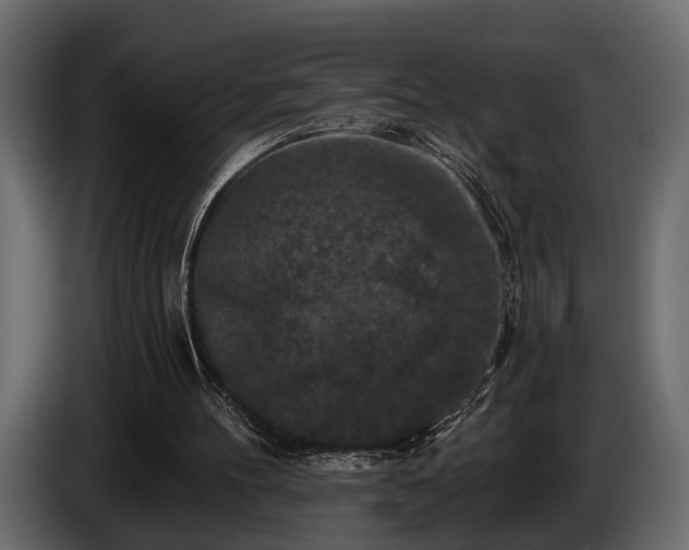 X0000085770100200703231232