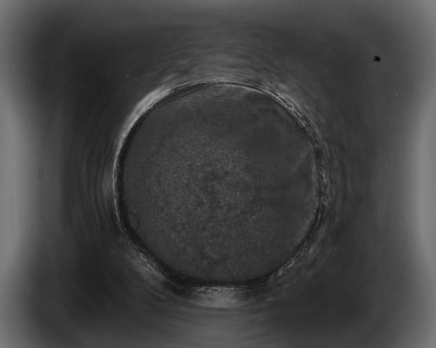 X0000085770104200703231232