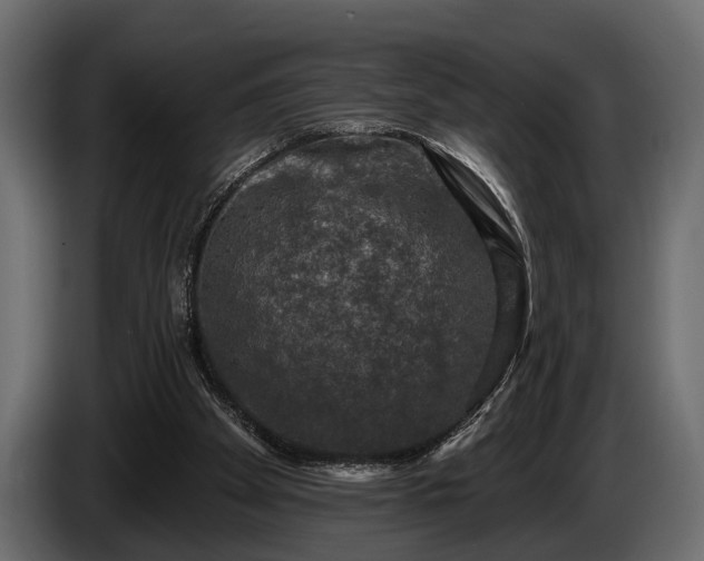 X0000085770105200703231232