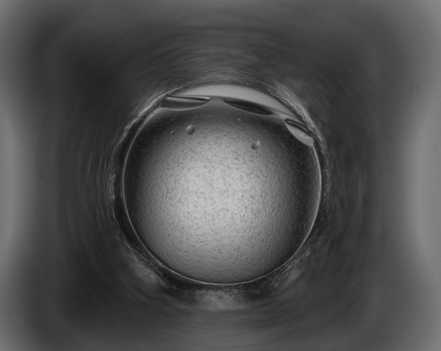 X0000085770106200703231232