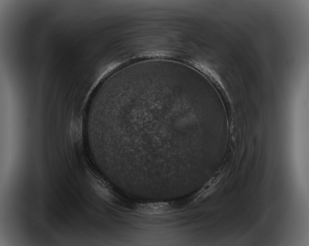 X0000085770108200703231232