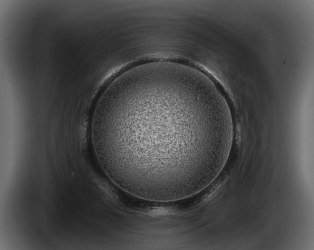 X0000085770111200703231232