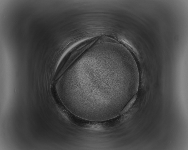 X0000085770113200703231232