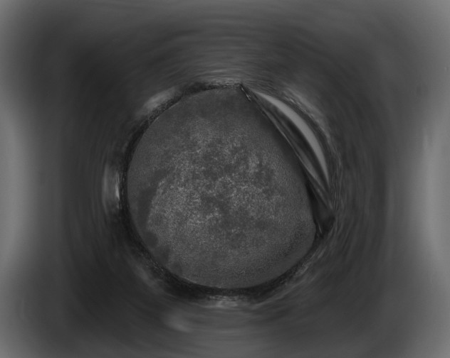 X0000085770115200703231232