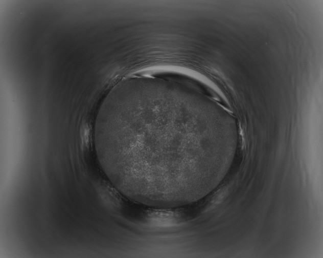 X0000085770123200703231232