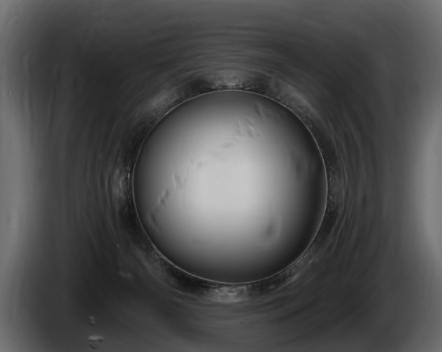 X0000085770126200703231232