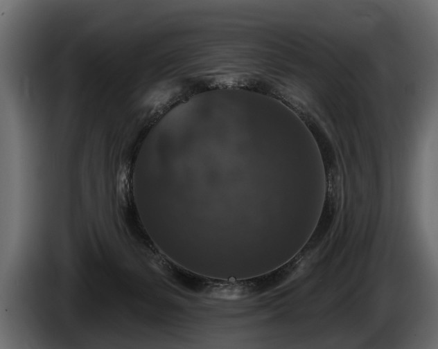 X0000085770127200703231232