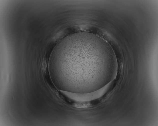 X0000085770129200703231232